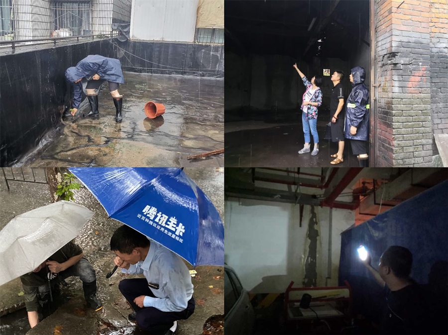 23-嘉来资产2_副本