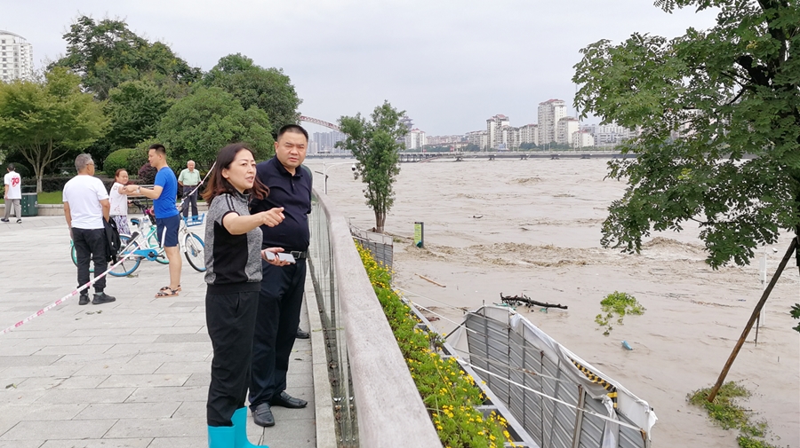 06-8月17日，肖林书记在三江码头检查洪峰过境情况_副本