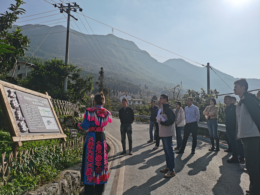 石椅村现场学习