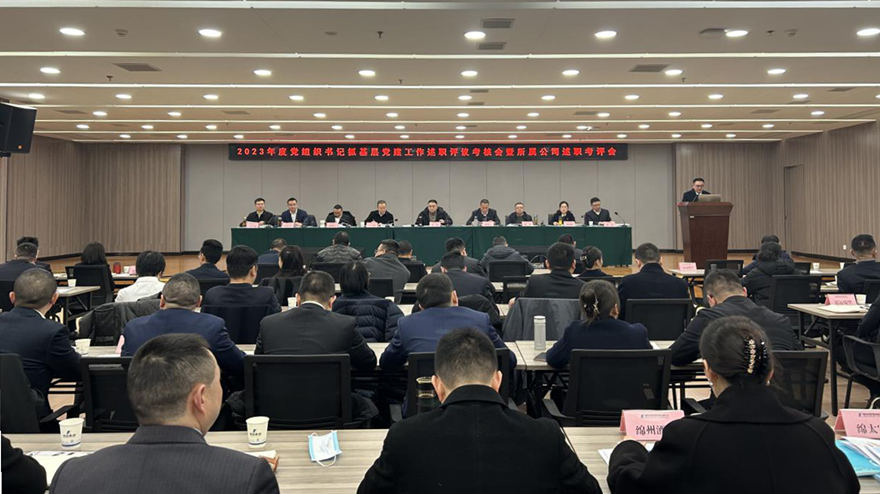 15vip太阳集团官网党委召开2023年党组织书记抓基层党建述职评议会