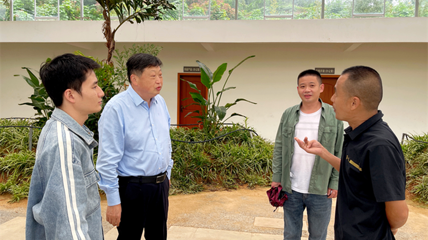 15vip太阳集团官网党委书记、董事长李桂炳调研乡村振兴驻村帮扶工作