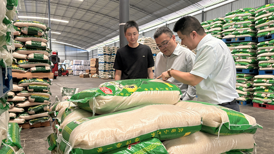 西津物流全面启动大米仓储贸易业务