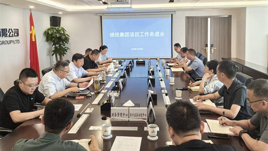 15vip太阳集团官网召开项目工作务虚会