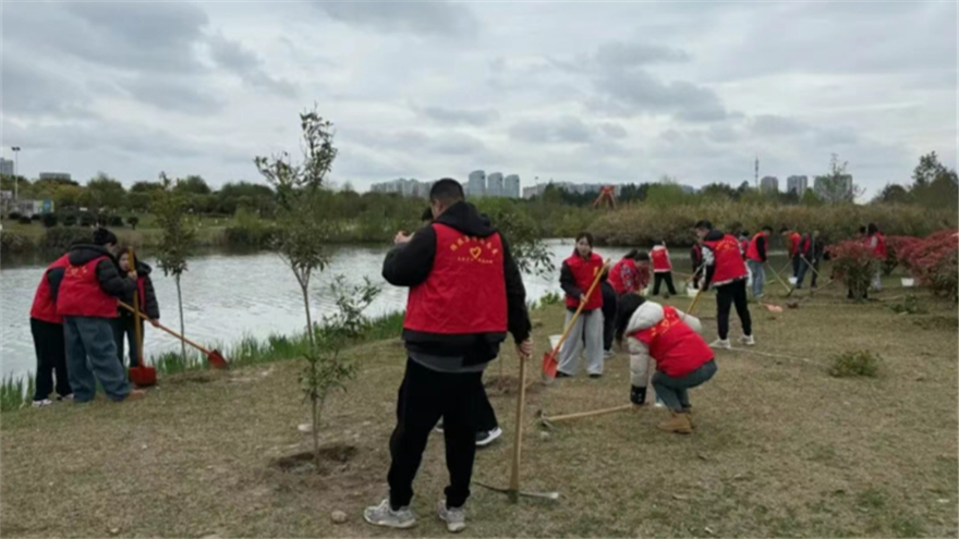 植此新绿，共“树”未来——15vip太阳集团官网开展志愿植树活动